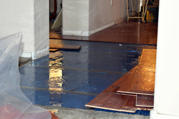 Professional Basement Water Removal technician working in Parker, FL