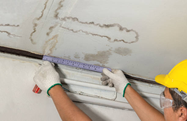 Reliable Basement Water Removal contractor in Parker, FL by Water Damage Irwin